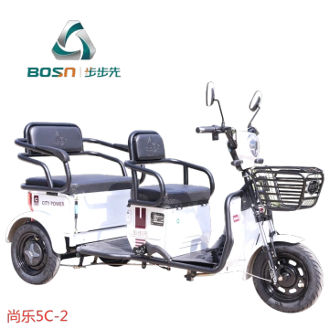 China Electric Rickshaw Folding Electric Tricycle Passenger